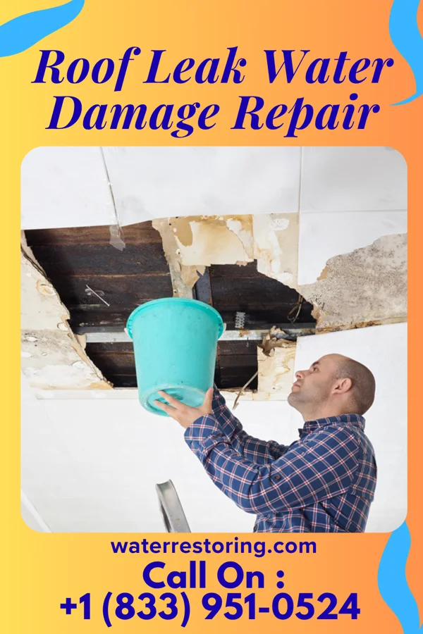 Roof Leak Water Damage Repair in Kansas City, MO